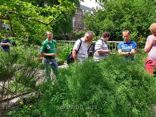 IMG 20180525 140309385 HDR