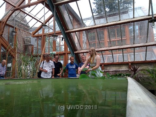 IMG 20180525 142316262