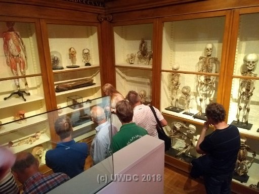 IMG 20180525 143218411