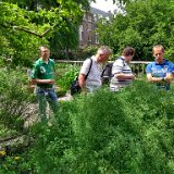 IMG 20180525 140309385 HDR