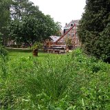 IMG 20180525 141117233